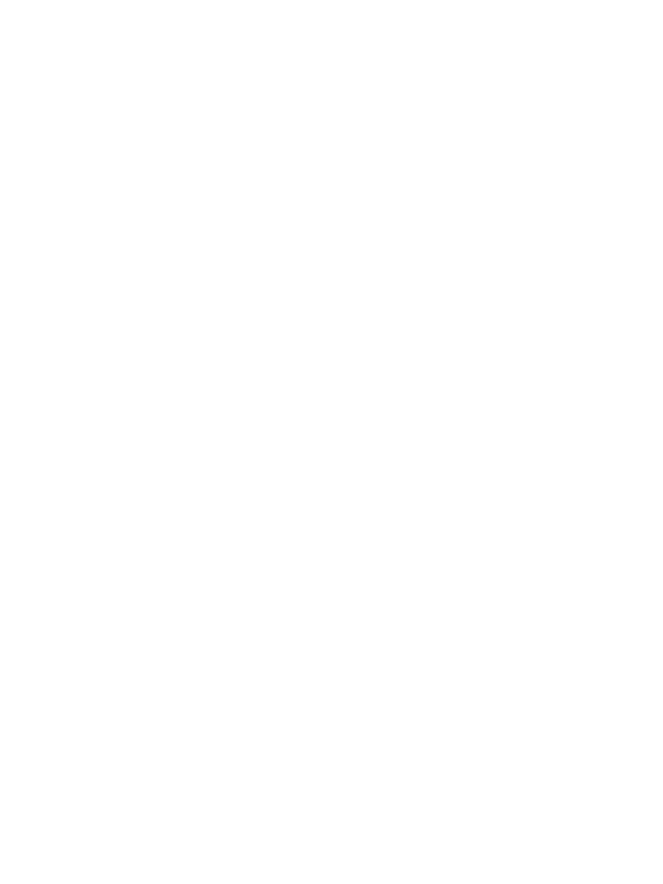 Asset (PT) - Ladder